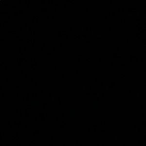 Meet your Posher, Jackson